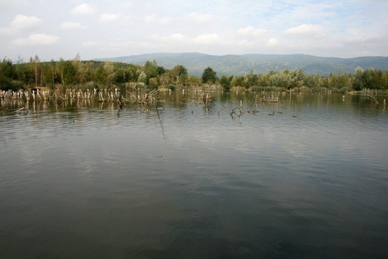 nachytano.cz